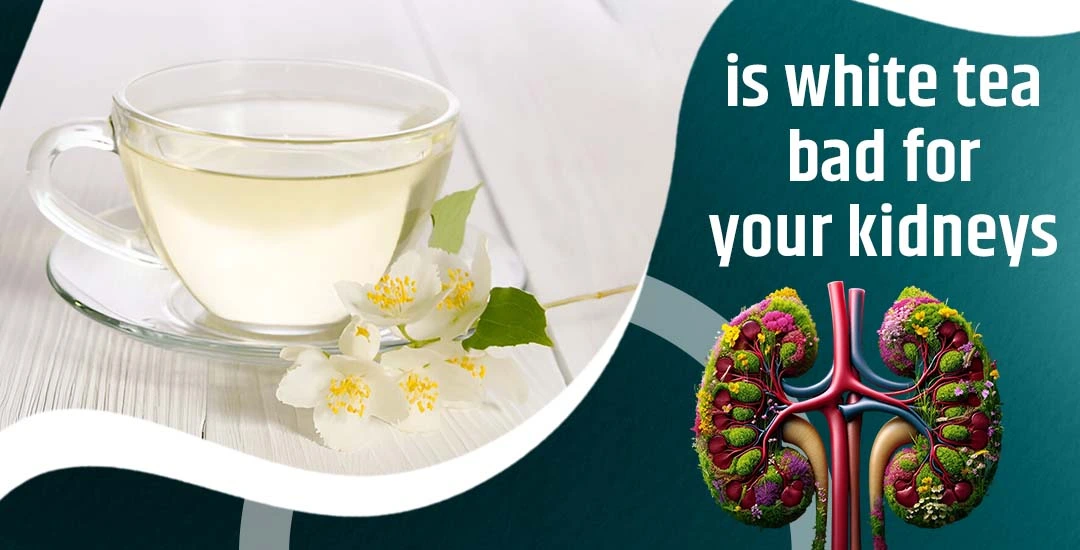 Is White Tea Bad for Your Kidneys?